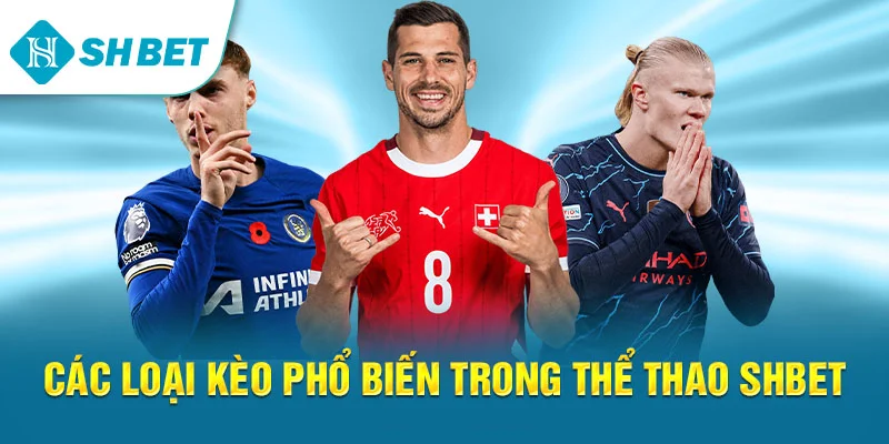 Các loại kèo phổ biến trong Thể thao SHBET