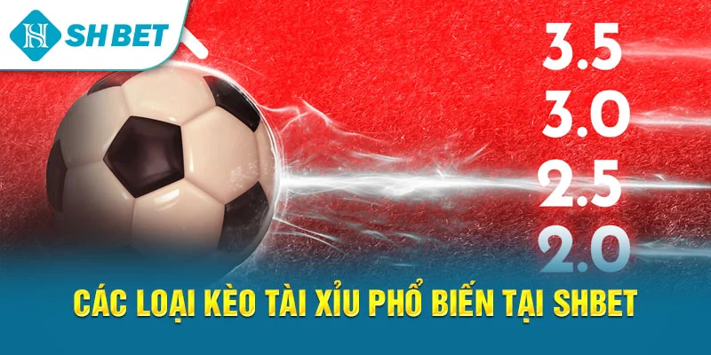Các loại kèo tài xỉu phổ biến tại SHBET