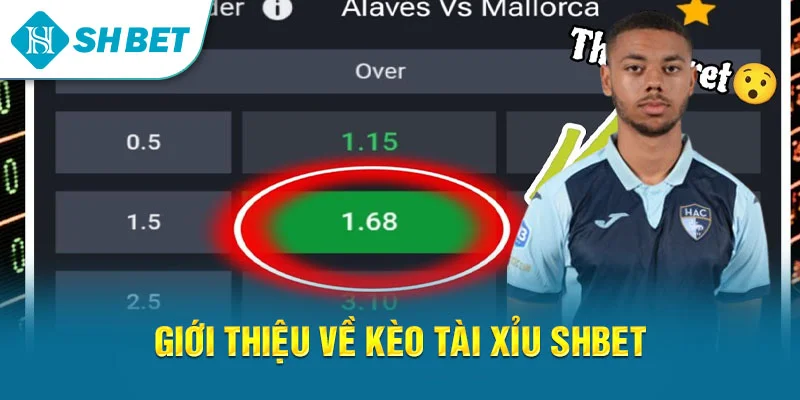 Giới thiệu về kèo tài xỉu SHBET