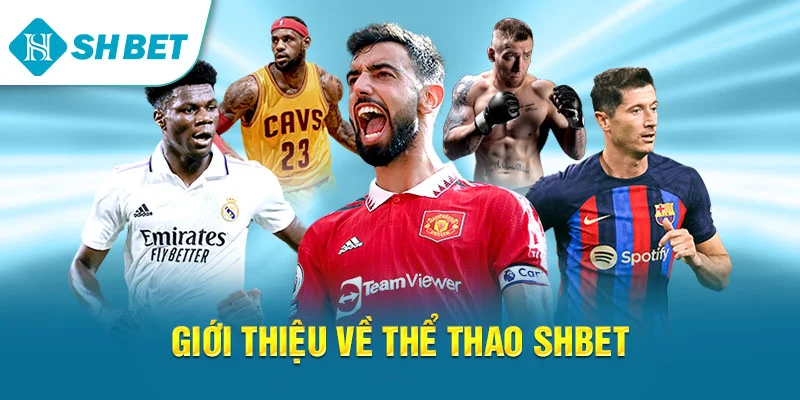 Giới thiệu về Thể thao SHBET