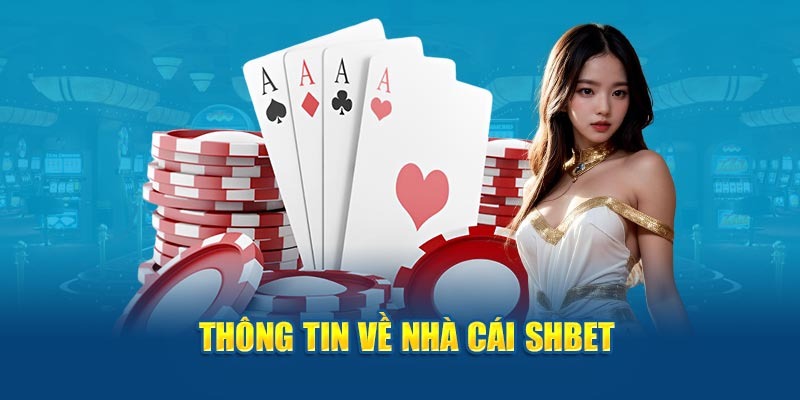Sơ lược về nền tảng giải trí bậc nhất